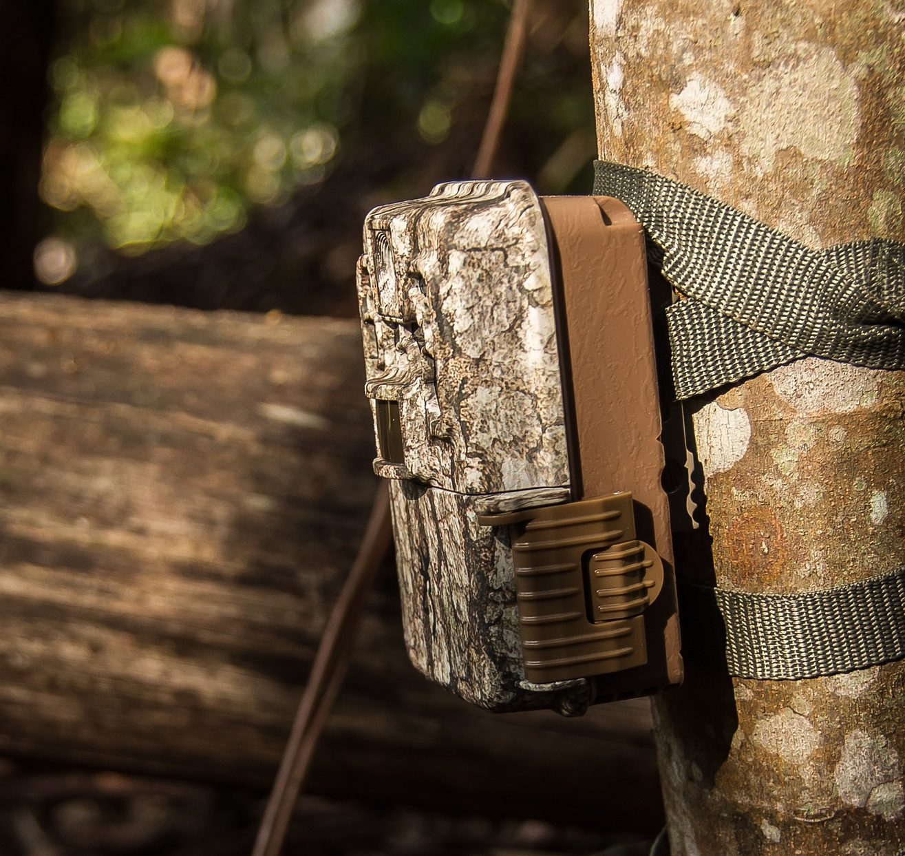 13 Best Trail Cameras for Hunting How to Choose the Right Game Camera